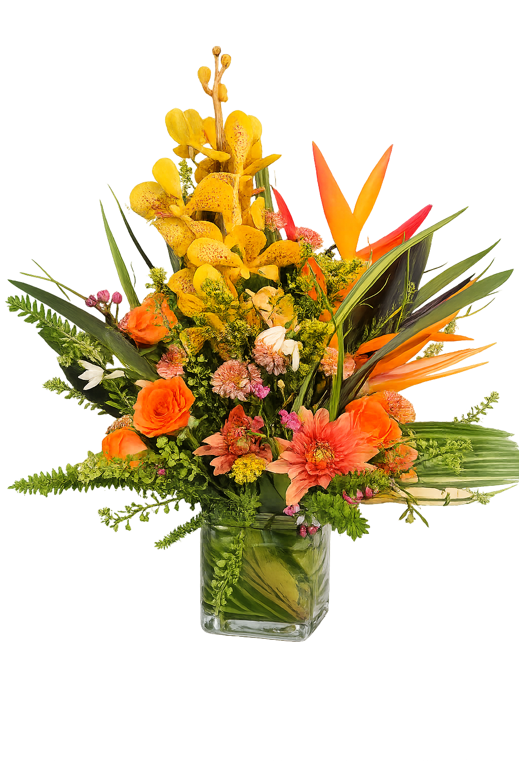 Tropical Orchid & Birds of Paradise Valentine Arrangement