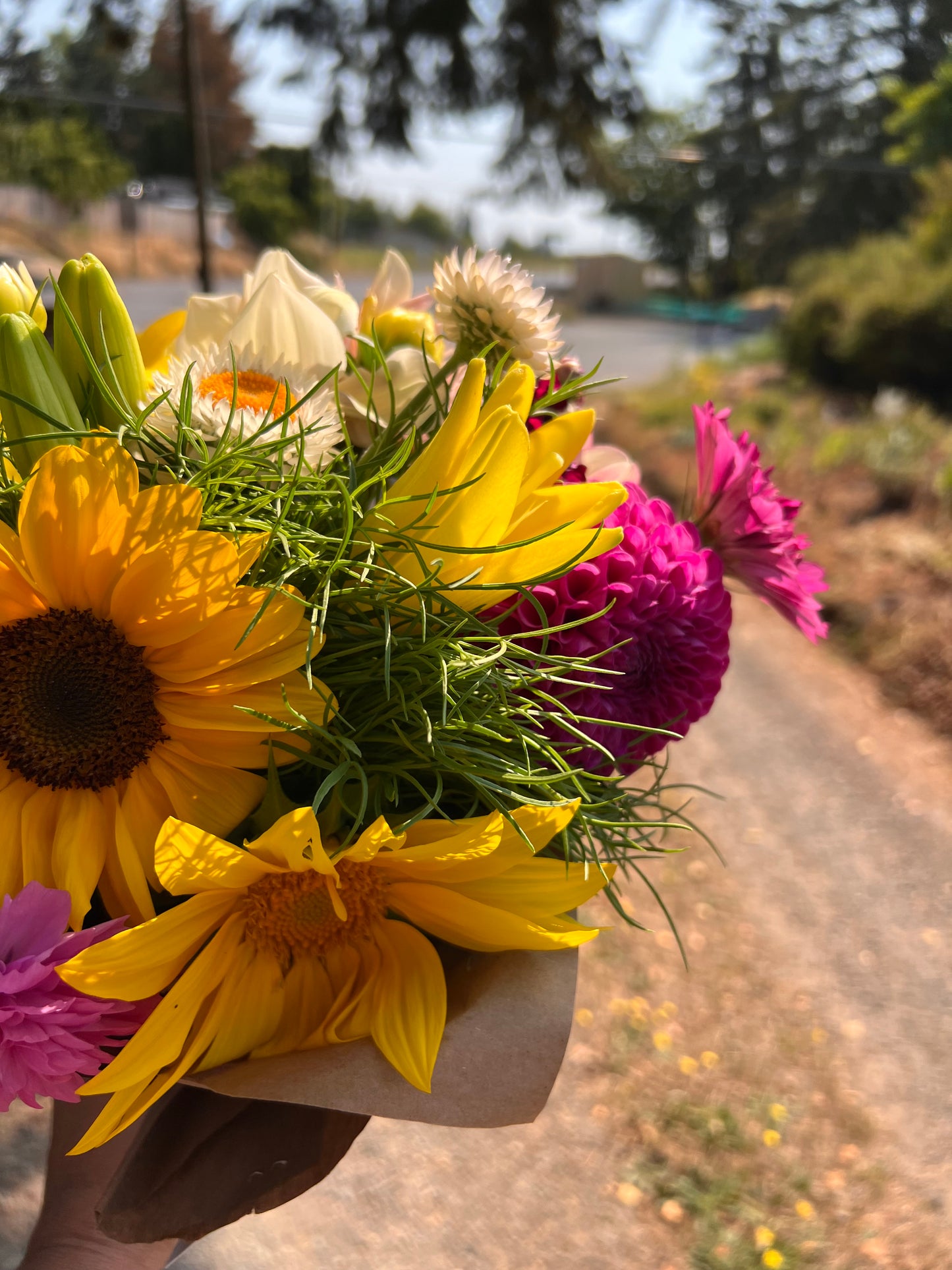 Grow Your Own Cut Flowers - preorder - Pick up in May