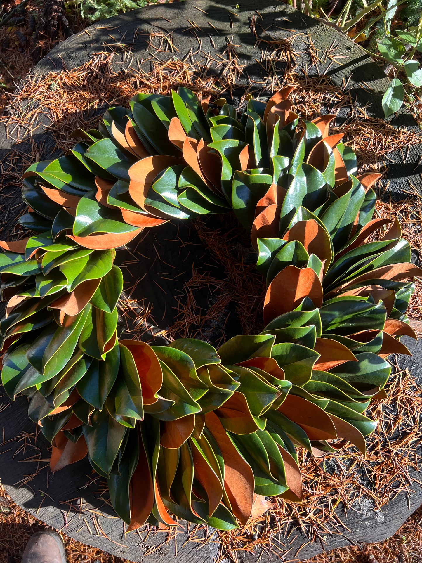 Fresh Magnolia Wreath | Made to Order & Dries Beautifully