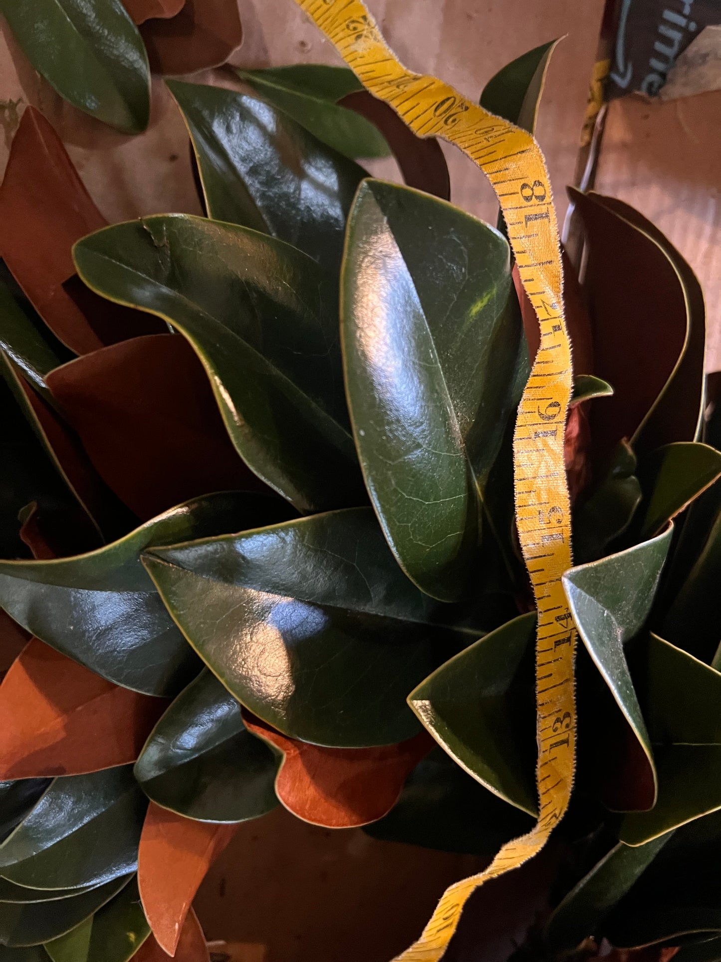 Fresh Magnolia Wreath | Made to Order & Dries Beautifully