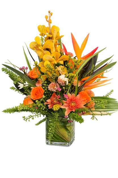 Tropical Orchid & Birds of Paradise Valentine Arrangement