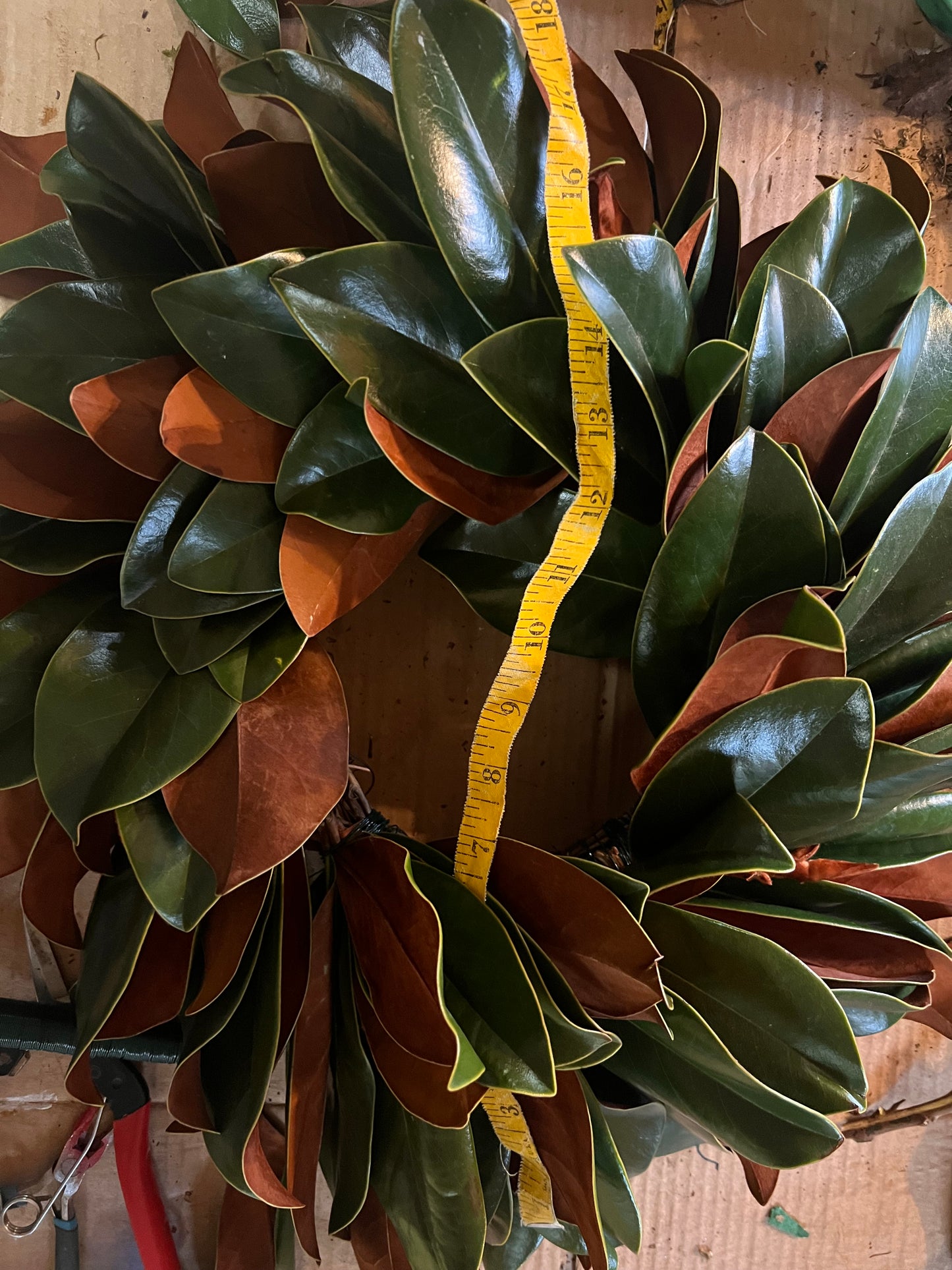 Fresh Magnolia Wreath | Made to Order & Dries Beautifully