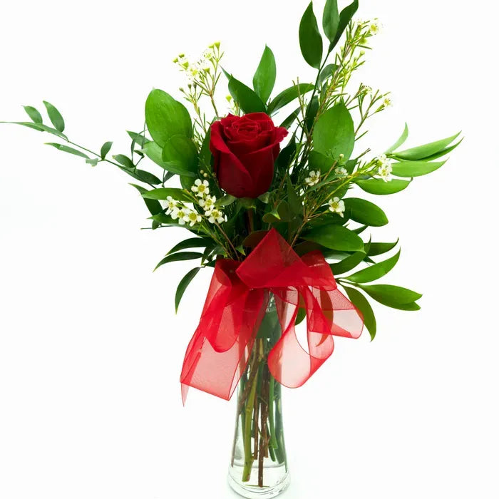 Long Stem Red Rose - Premium - Cupid's Kiss 💋