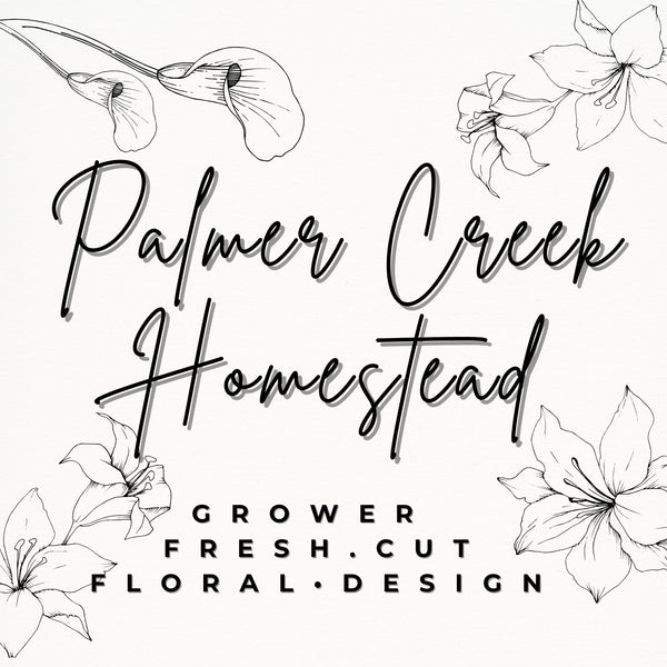 Palmer Creek Homestead