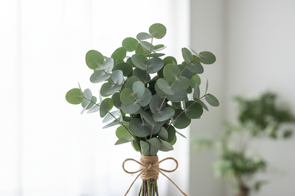 baby blue eucalyptus bunch tied with twine 
